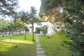 Move to Sardinia Villa Eucalipto